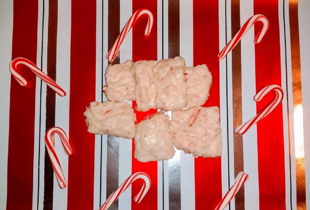 San Diego Zoo Animal&nbsp;Cams