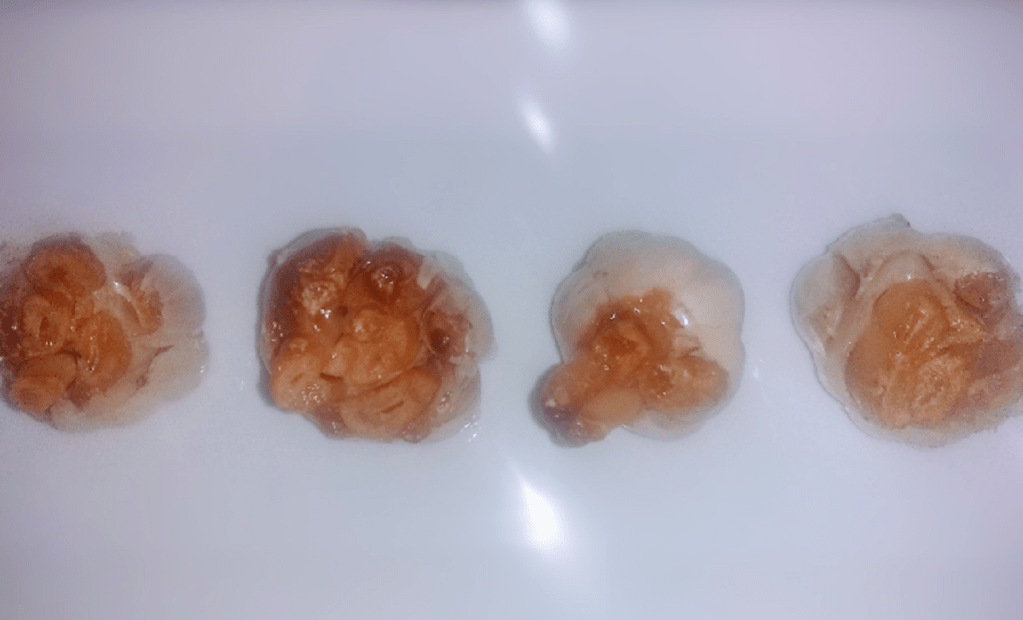 Roasted Garlic - Allfamilystuff.com