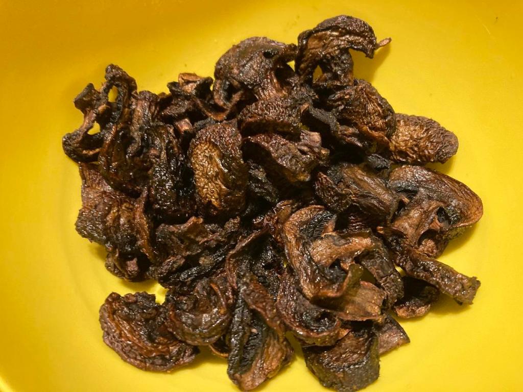 Mushroom Jerky